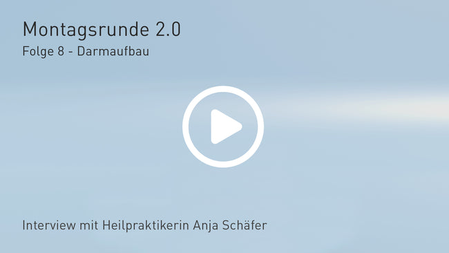 Folge 8