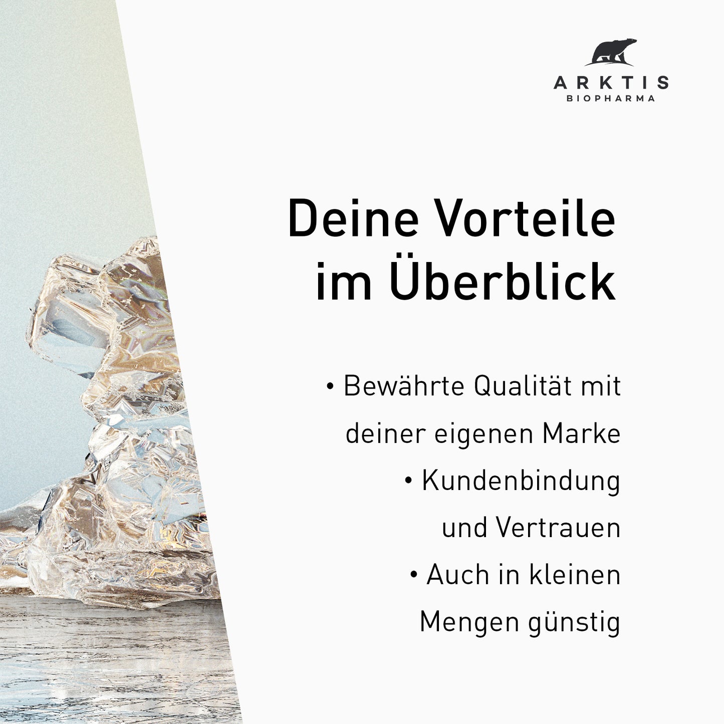 Arktis Gelenk A2 PL