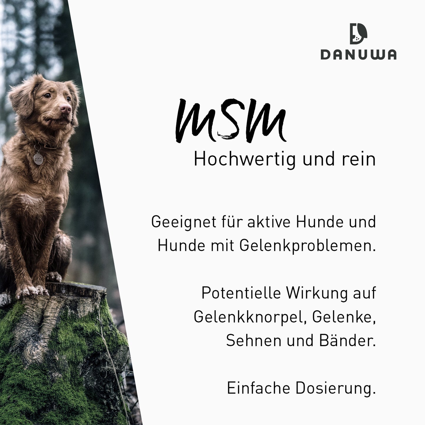 Danuwa Organischer Schwefel – Purfor MSM®