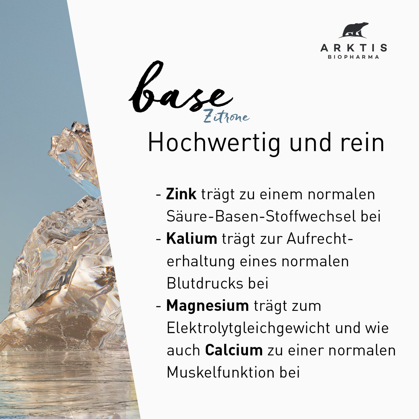 Arktis Base Pure - Basenpulver PL
