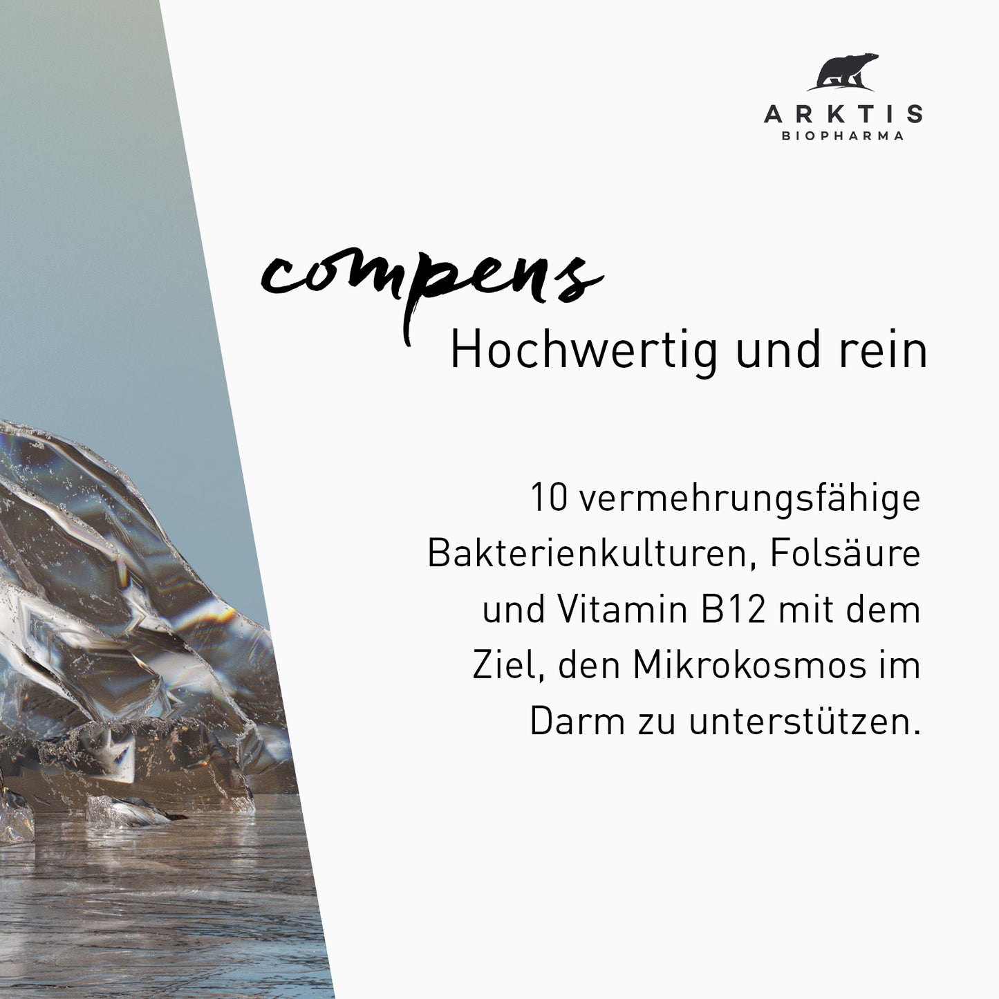 Arktis Arktibiotic Compens PL
