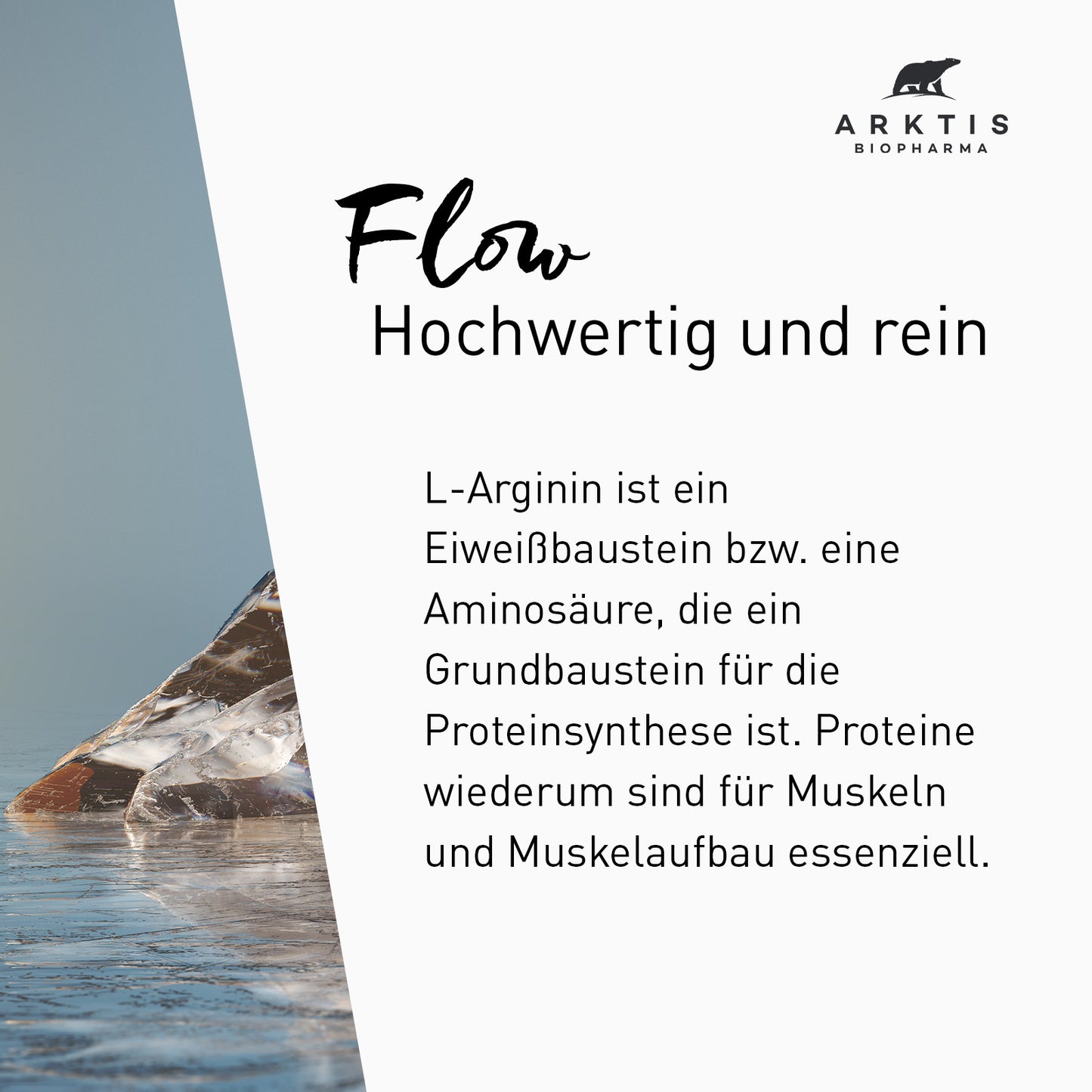 Arktis Flow - L-Arginin PL