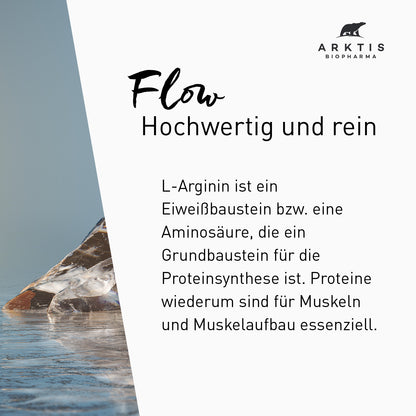 Arktis Flow - L-Arginin PL