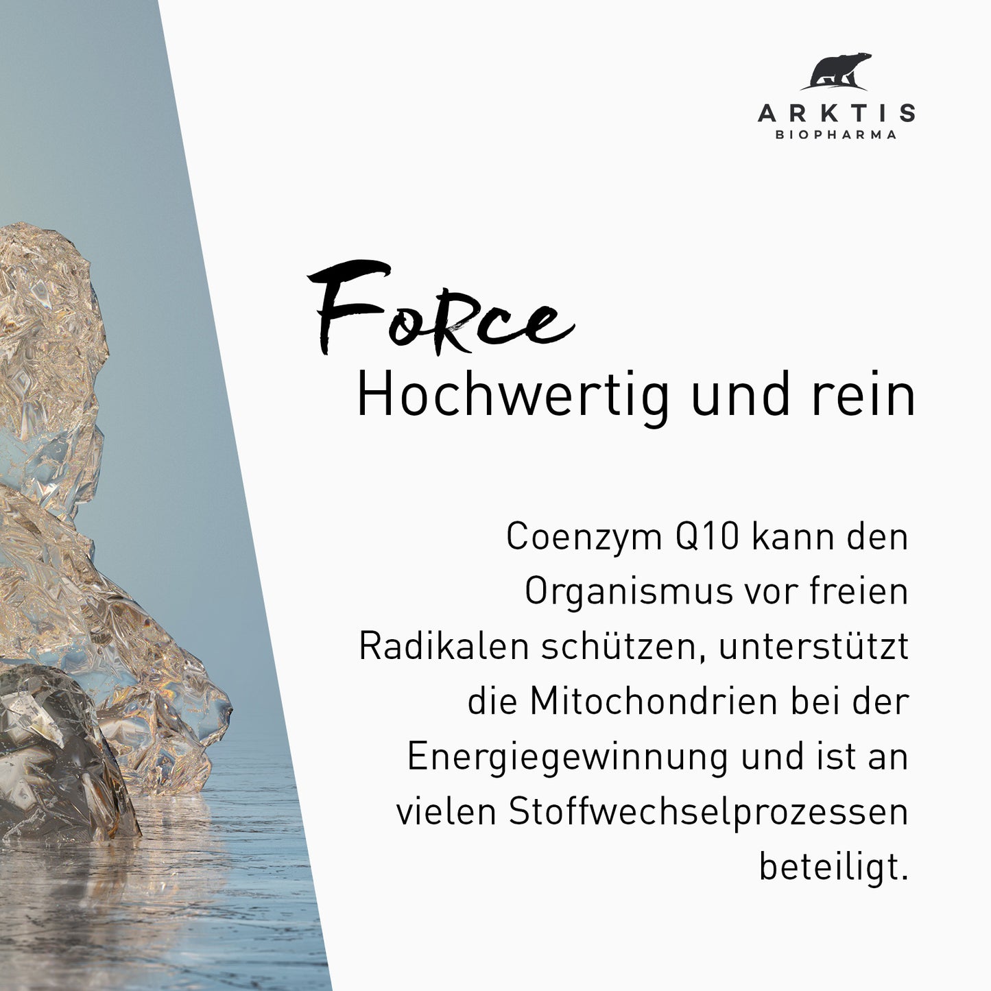 Arktis Force - Coenzym Q10 PL