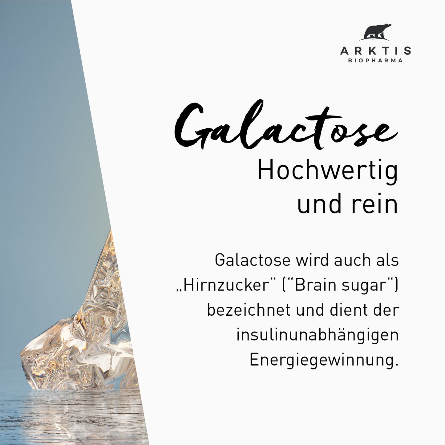 Arktis Galactose PL