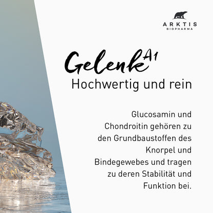 Arktis Gelenk A1 PL