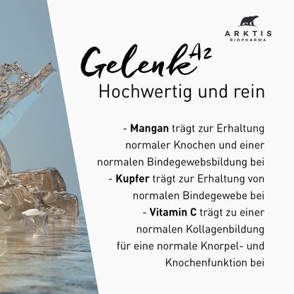 Arktis Gelenk A2 PL