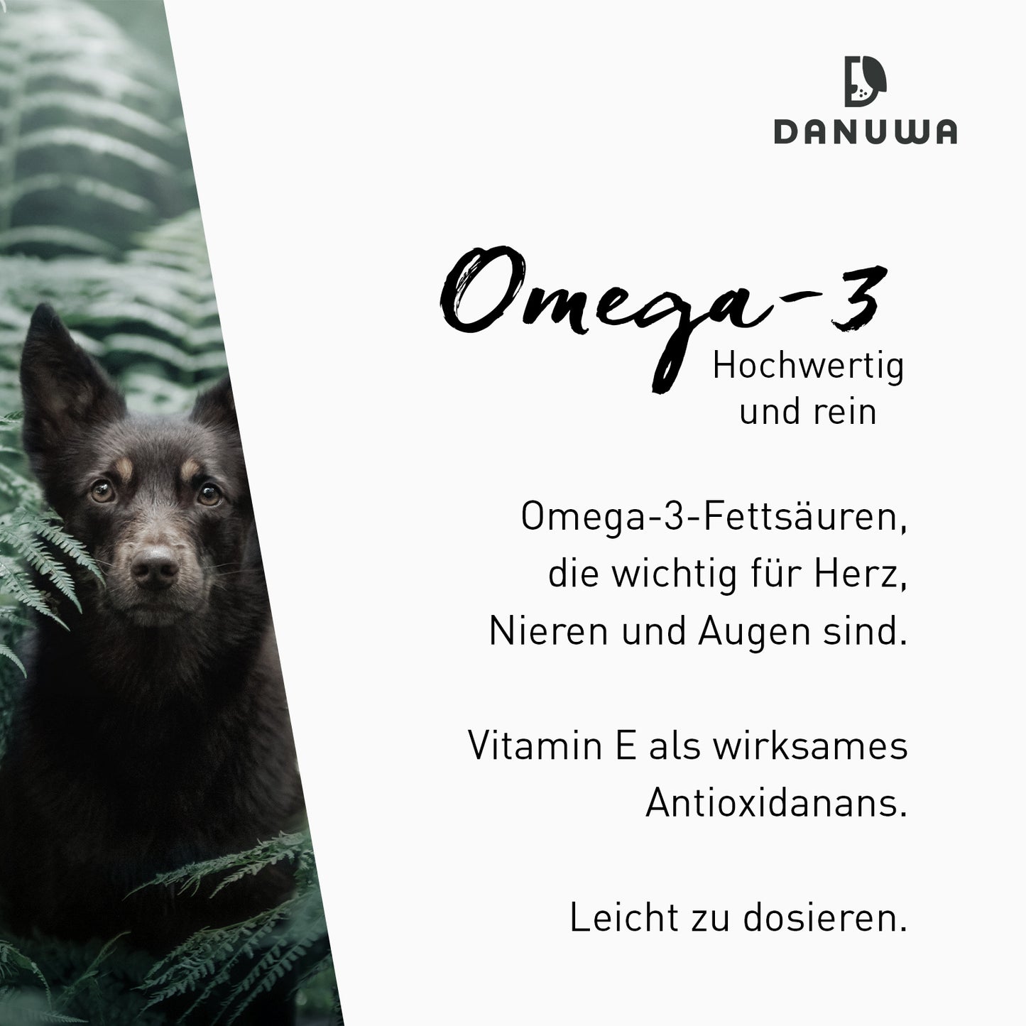 Danuwa Omega-3 + Vitamin E PL