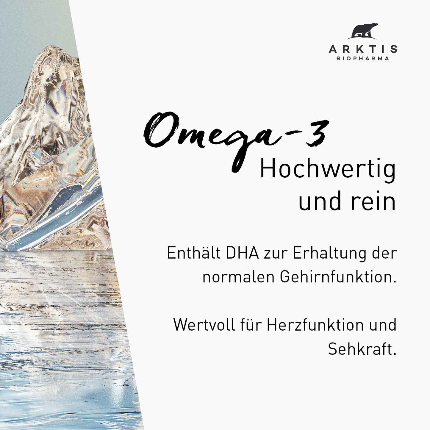 Arktis Omega-3 PL