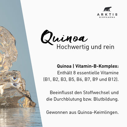 Arktis Vitamin B-Komplex aus Quinoa PL