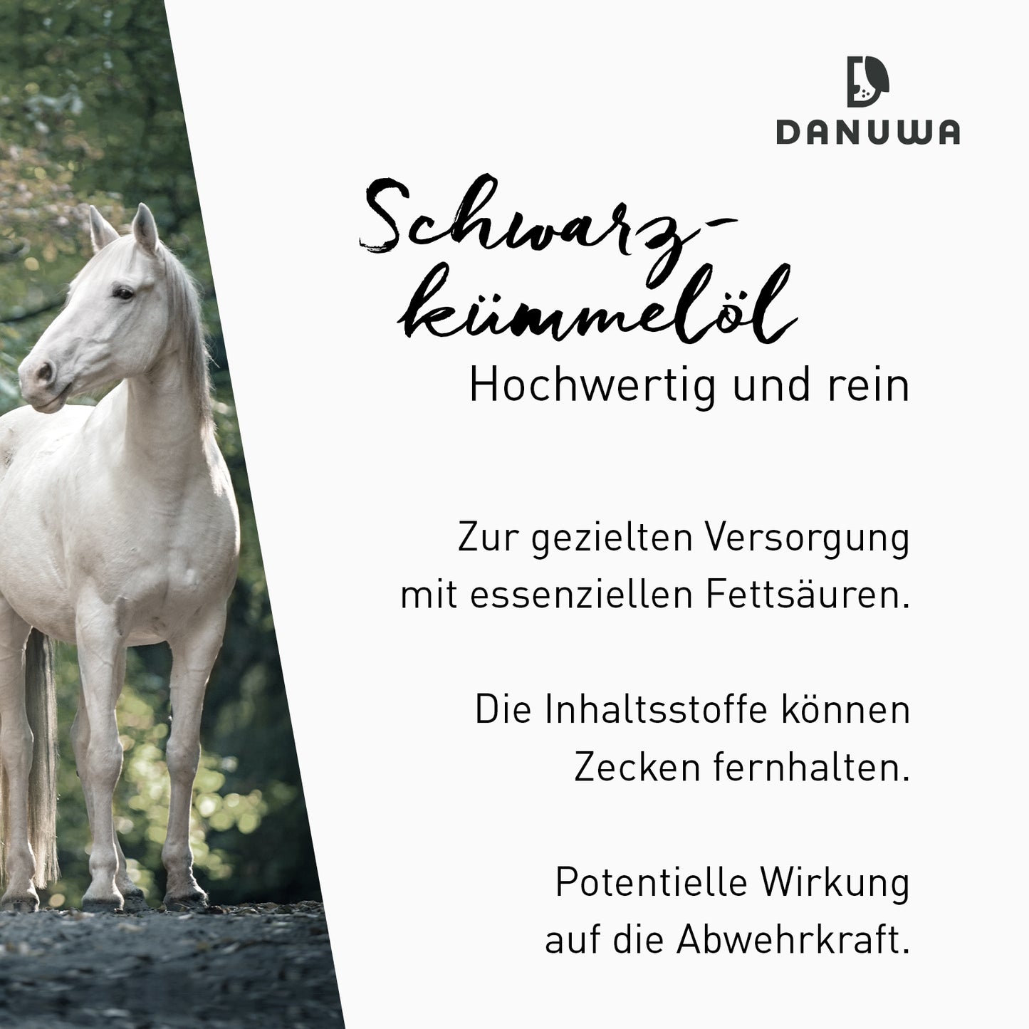 Danuwa Schwarzkümmelöl PL