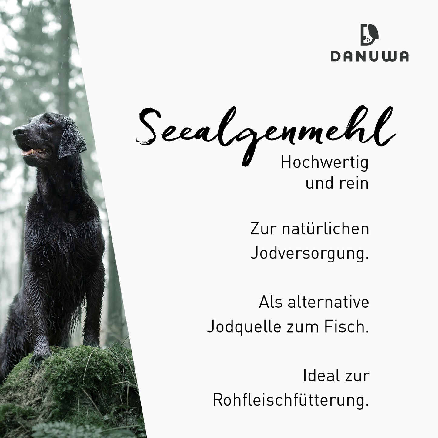 Danuwa Seealgenmehl PL