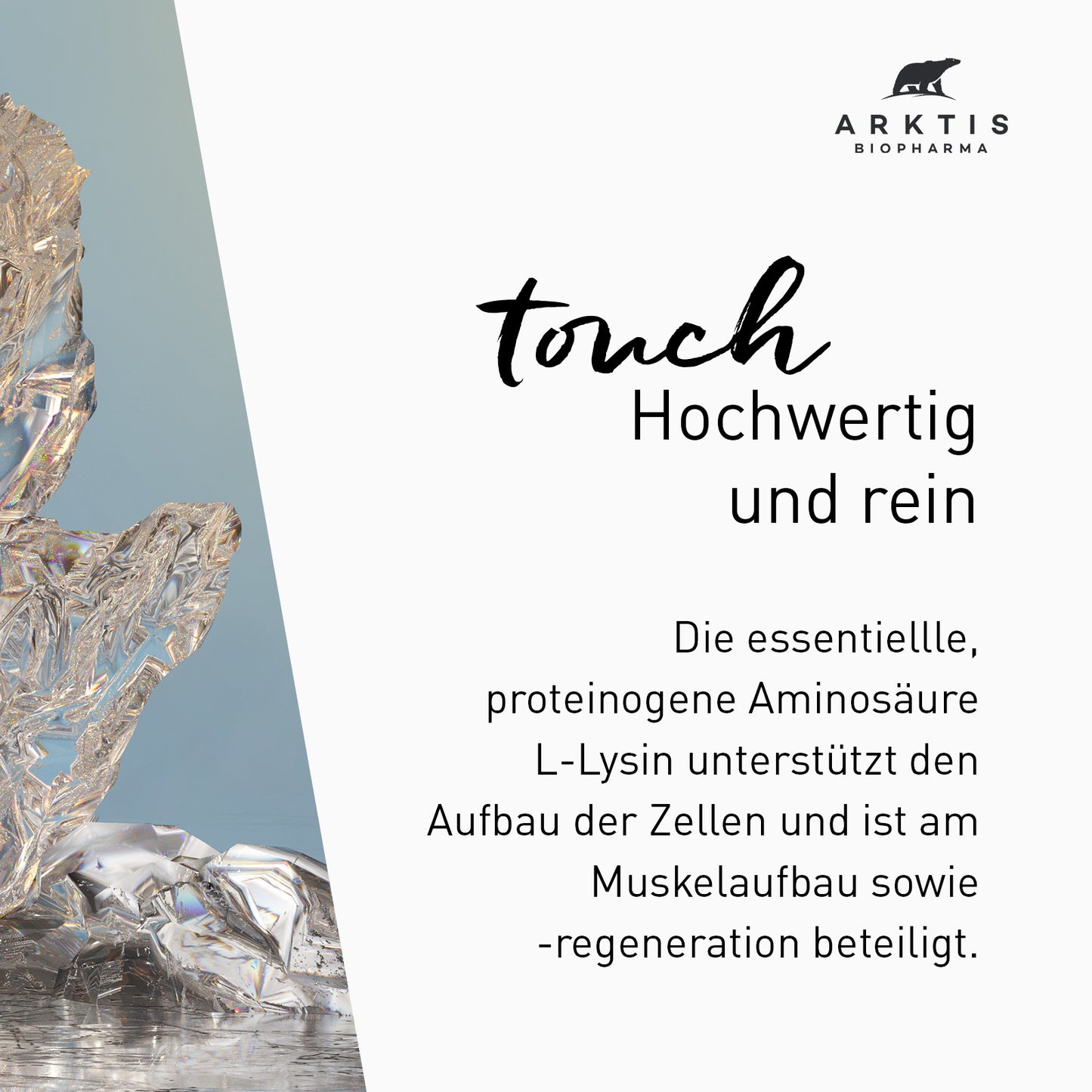 Arktis Touch - L-Lysin PL