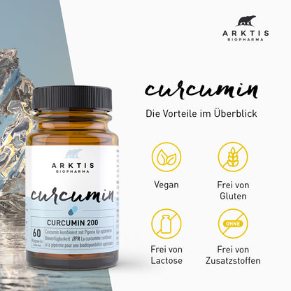 Arktis Curcumin PL