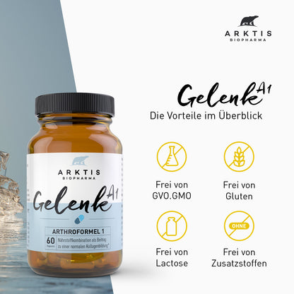 Arktis Gelenk A1 PL