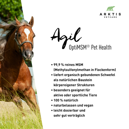Arktis Vetcare Agil - OptiMSM® Flakes PL