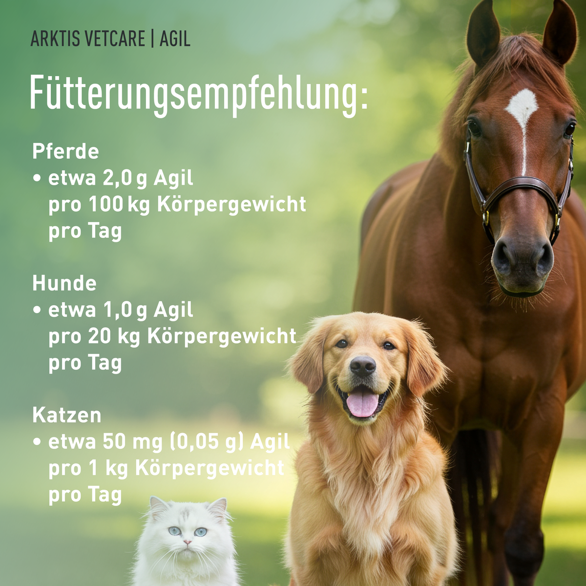 Arktis Vetcare Agil - OptiMSM® Flakes PL