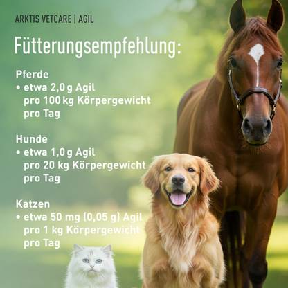 Arktis Vetcare Agil - OptiMSM® Flakes PL