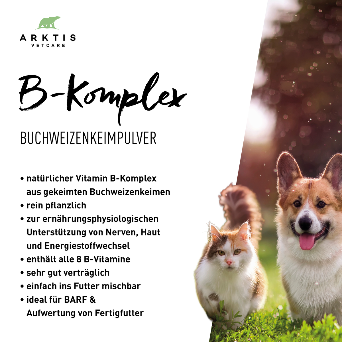 Arktis Vetcare B-Komplex - Buchweizenkeimpulver PL