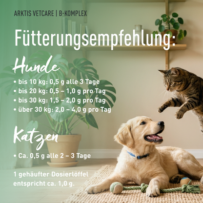 Arktis Vetcare B-Komplex - Buchweizenkeimpulver PL
