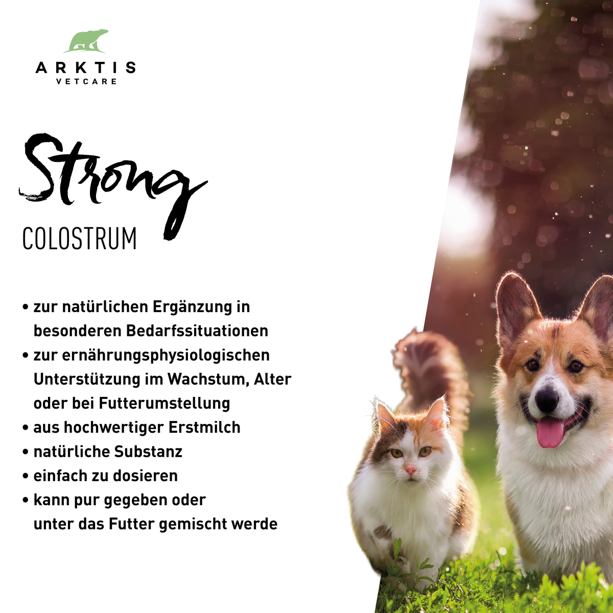 Arktis Vetcare Strong - Colostrum PL