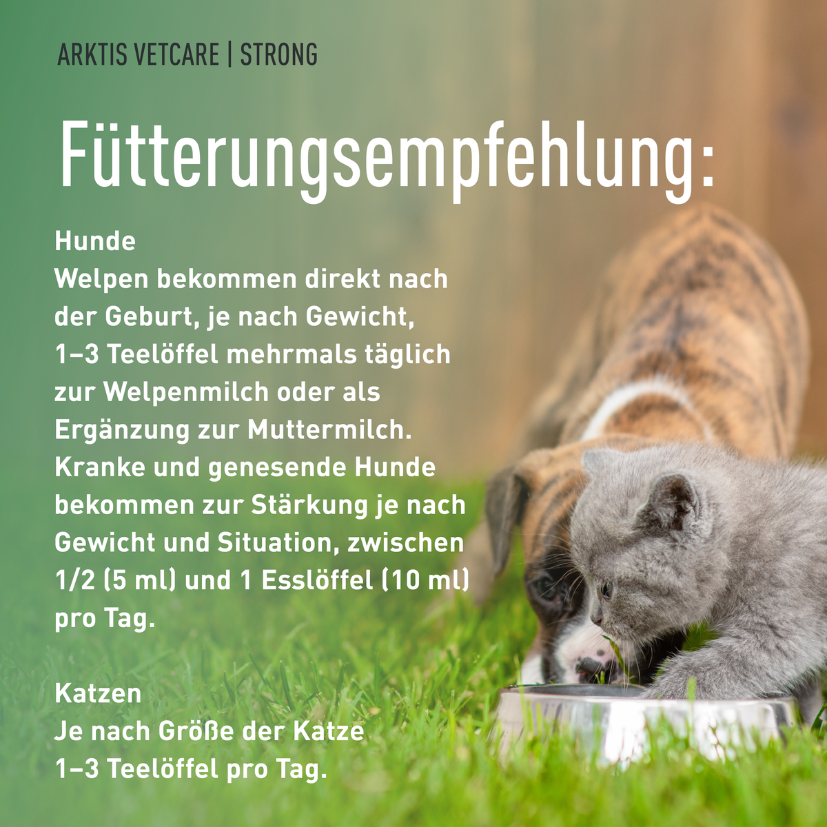 Arktis Vetcare Strong - Colostrum PL