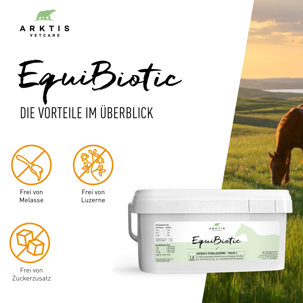 Arktis Vetcare EquiBiotic - Phase 2