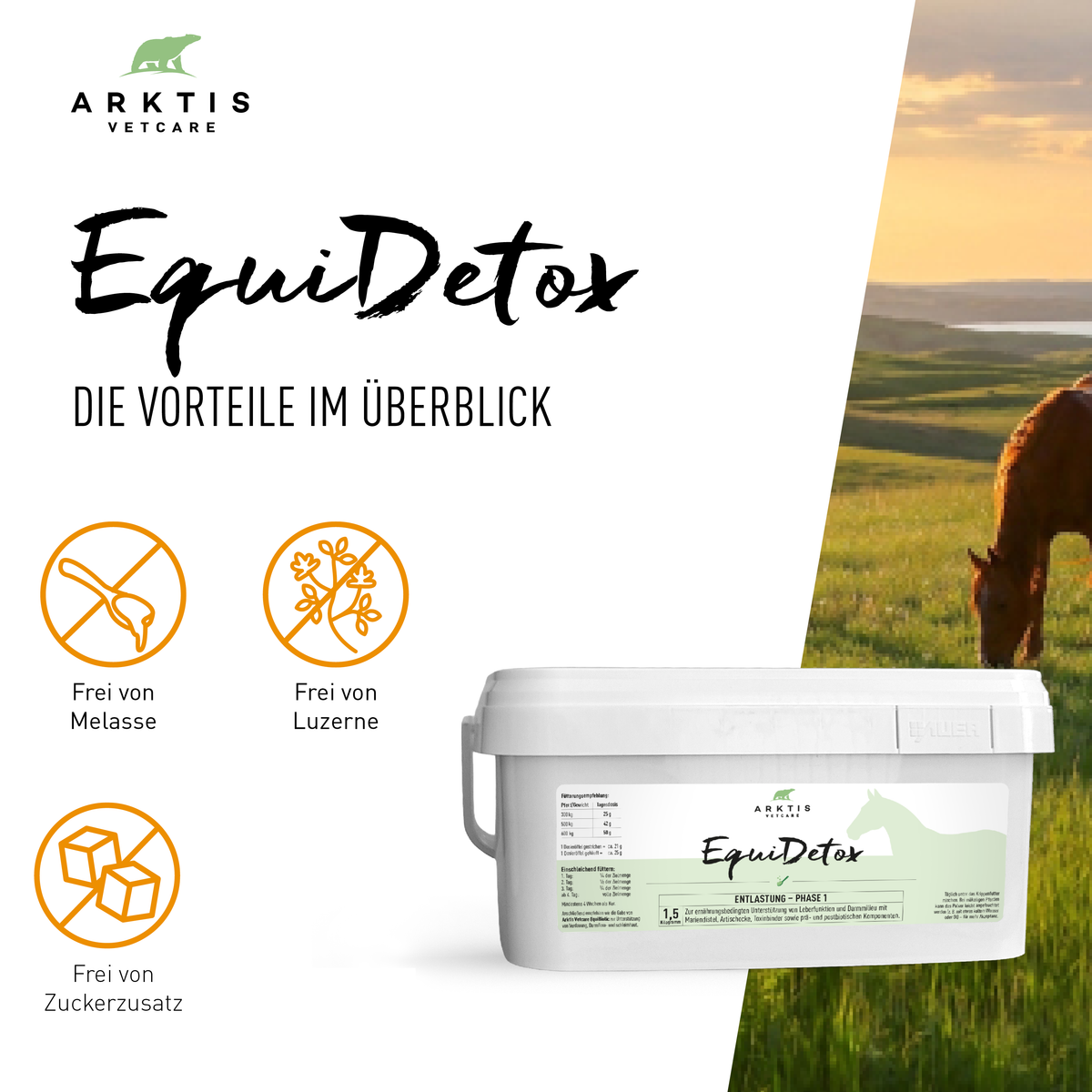 Arktis Vetcare EquiDetox - Phase 1