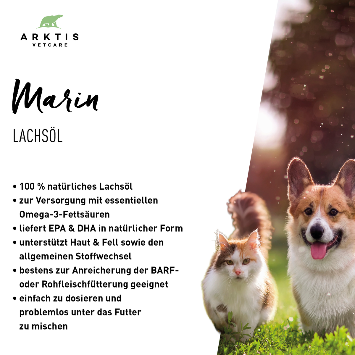 Arktis Vetcare Marin – Lachsöl PL