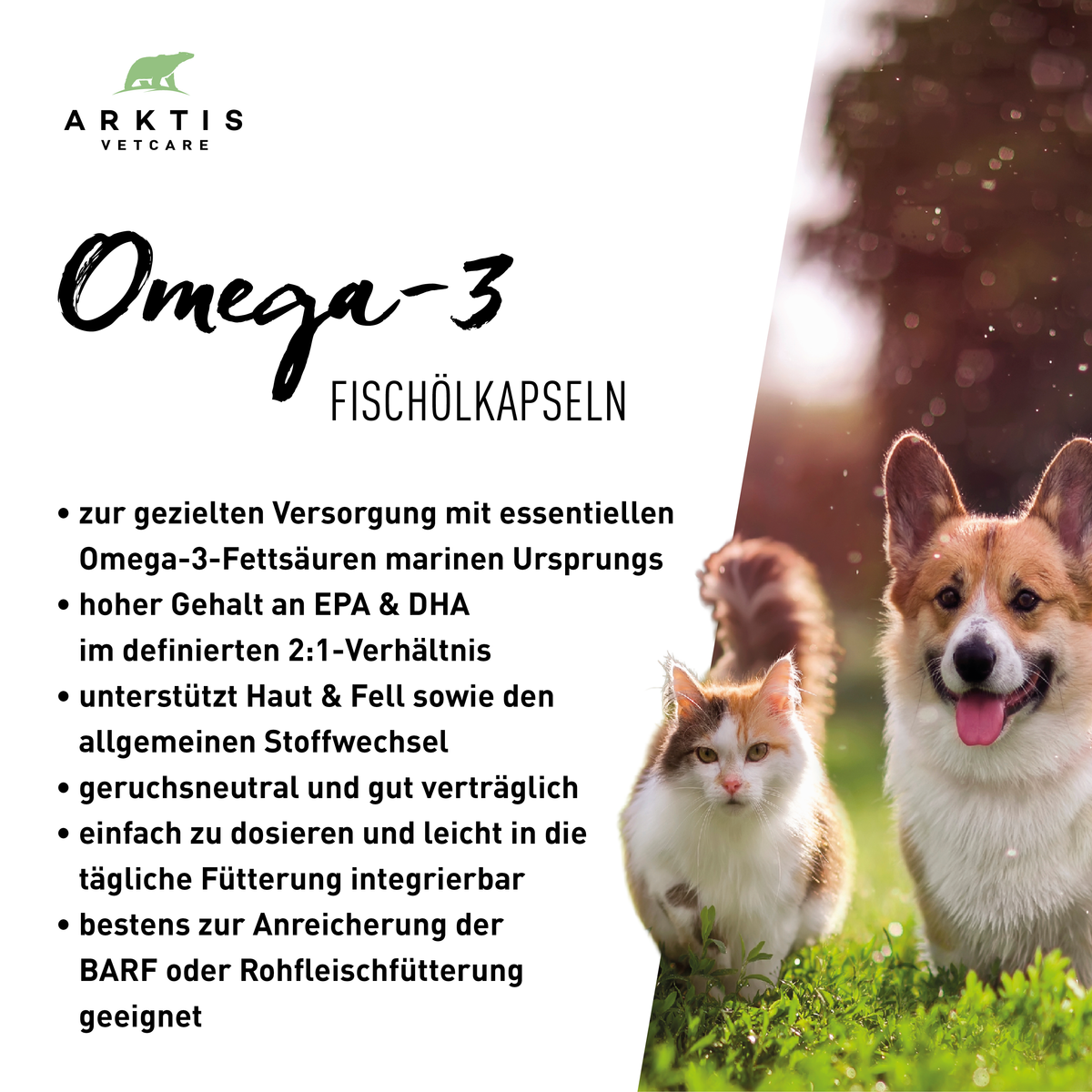 Arktis Vetcare Omega-3 – Fischölkapseln PL