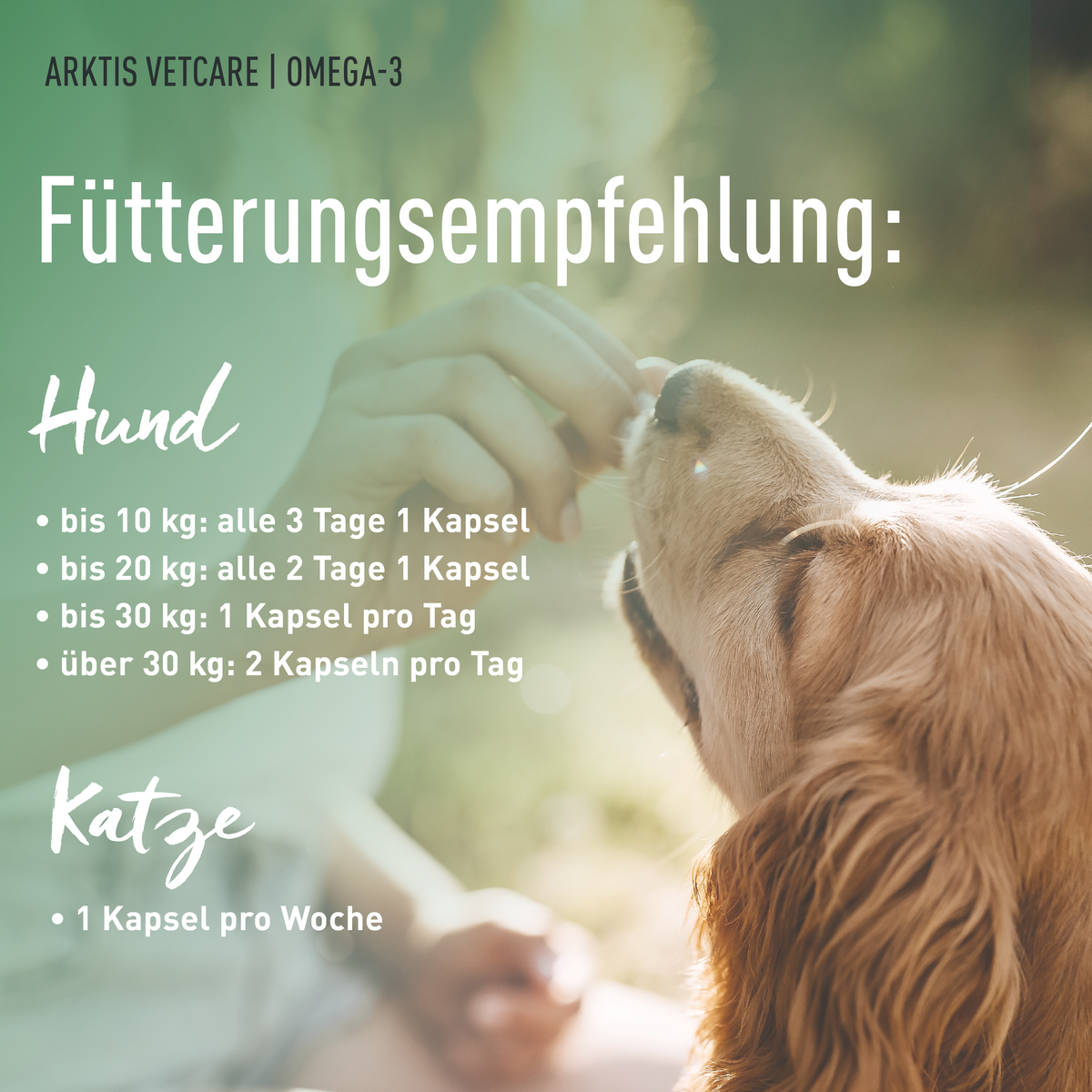 Arktis Vetcare Omega-3 – Fischölkapseln PL