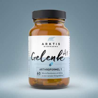Arktis Gelenk A1