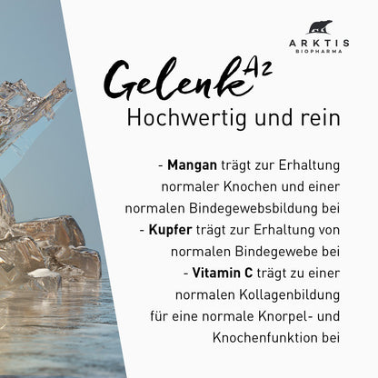 Arktis Gelenk A2