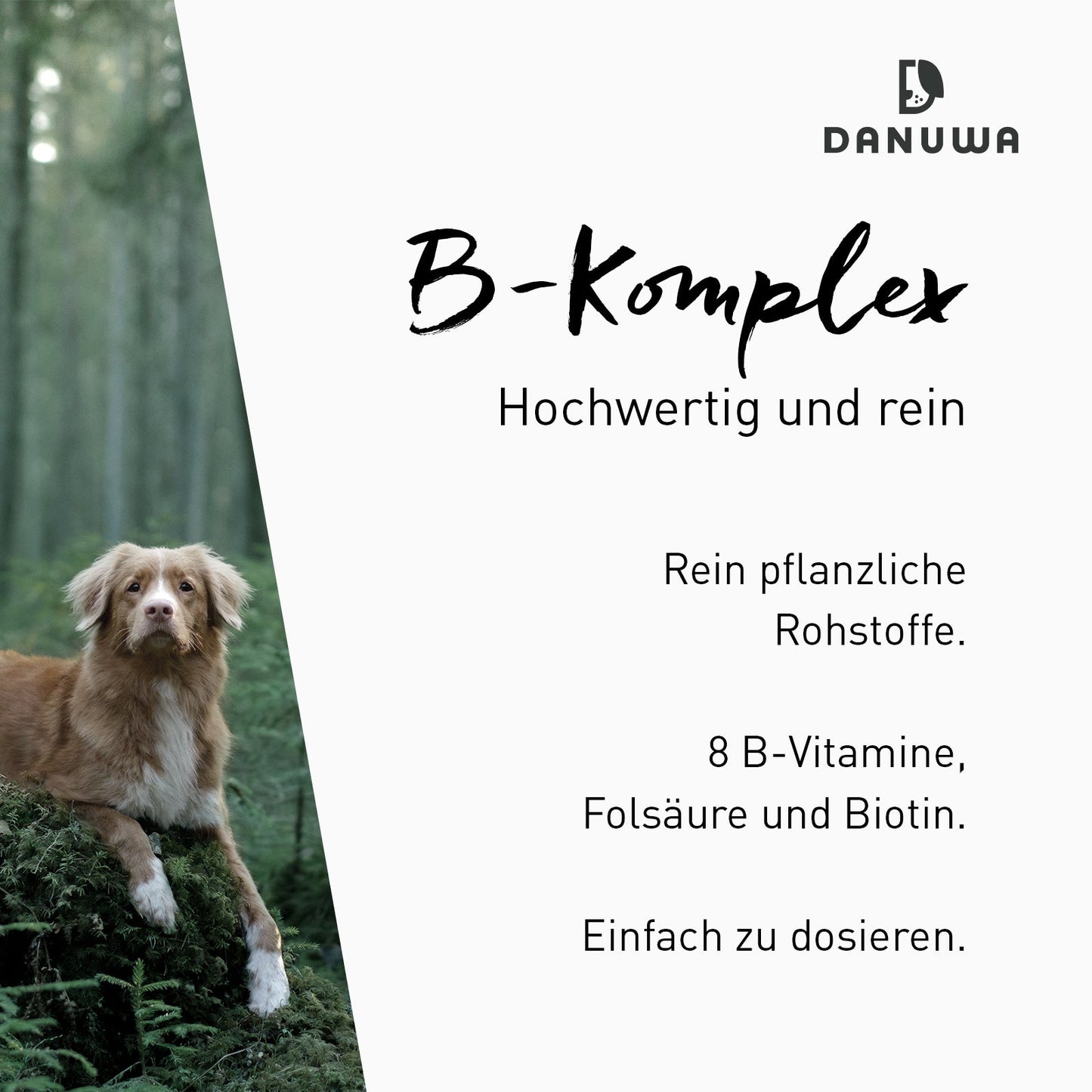 Danuwa Vitamin B-Komplex aus Buchweizenkeimen