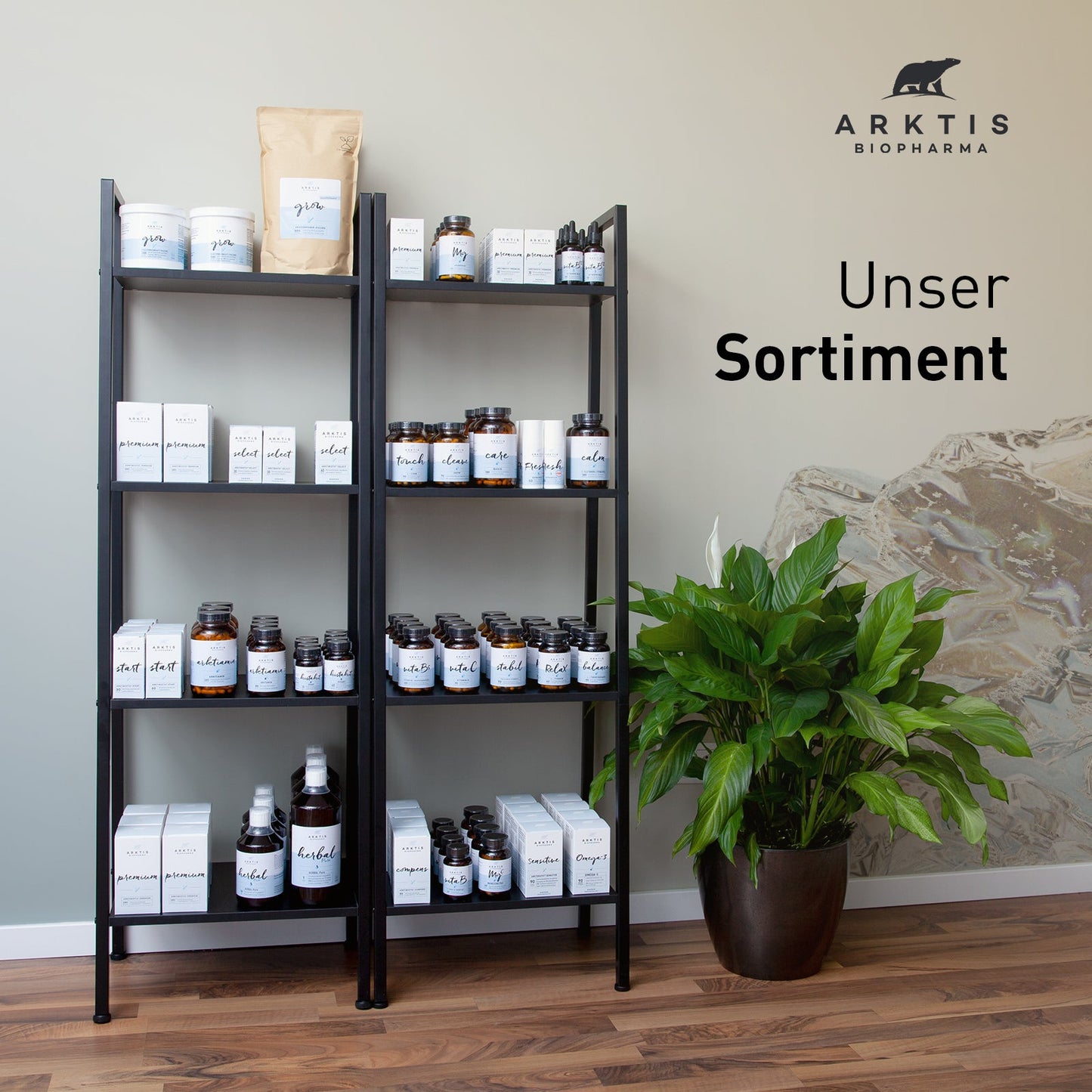 Arktis Gelenk A2